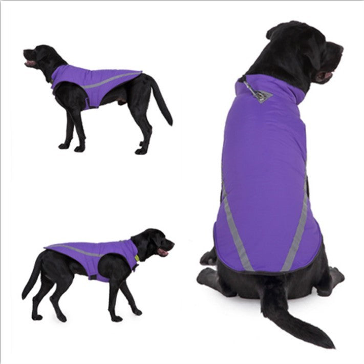 Dog winter coats