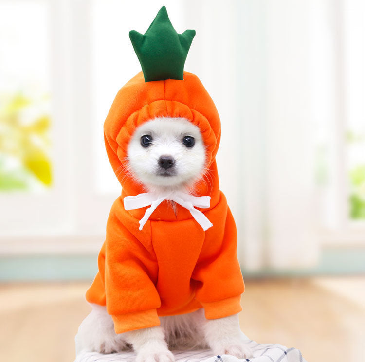 Cute Dog Clothes