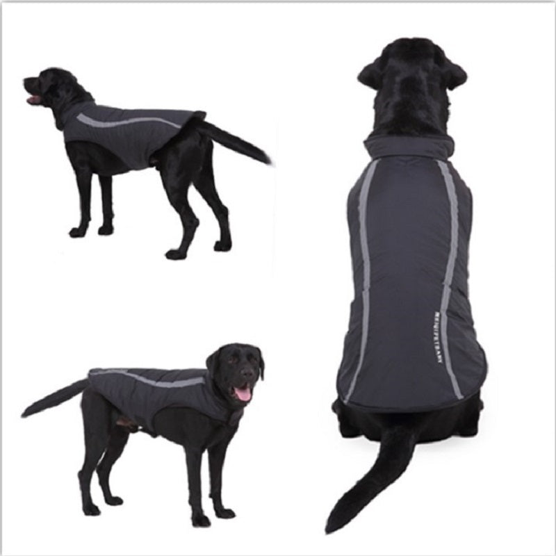 Dog winter coats