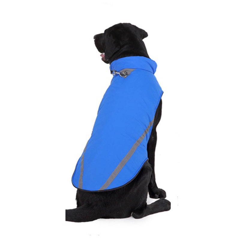 Dog winter coats