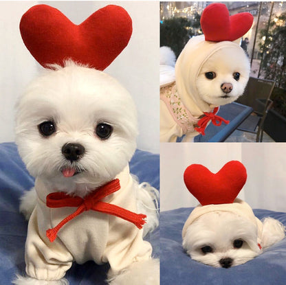 Cute Dog Clothes