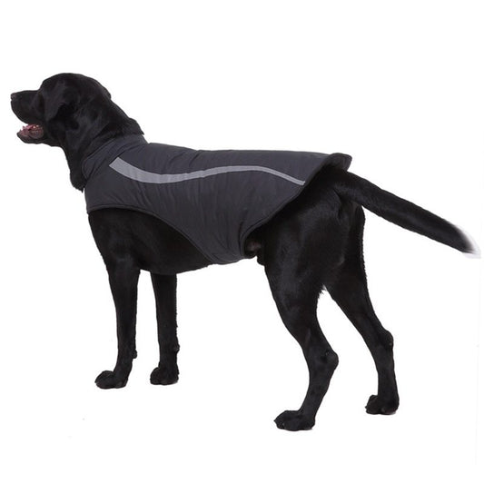 Dog winter coats