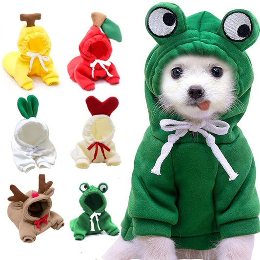 Cute Dog Clothes
